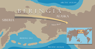 Illustration for article titled Beringia, the Lost Territory Where Americans Evolved